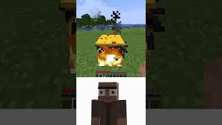 📹 Testing Block Durability vs Oi Oi Oi Villager Meme in Minecraft minecraft meme memes [upl. by Ardnala803]