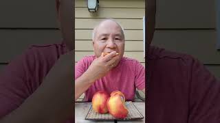 This Is How I Eat A Yellow Nectarine [upl. by Zeena451]