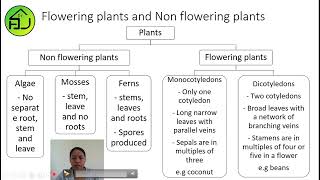 Flowering and Non flowering plants [upl. by Oruam]