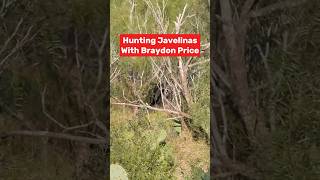 JAVELINA Hunt With BRAYDON PRICE [upl. by Hekker611]