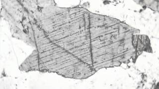 Clinopyroxene in gabbro PPL [upl. by Lindeberg]