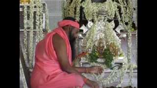 Sri Ganapathy Sachchidananda Swamiji UnveiledSri Swamiji Life Story [upl. by Simah45]