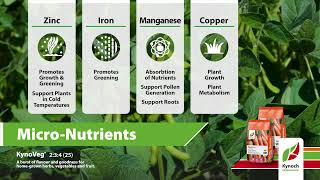 Transform Your Garden with the Power of Zinc Iron Manganese and More [upl. by Daas]