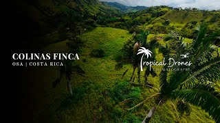 Cinematic FPV Real Estate  Costa Rica [upl. by Nonnarb]