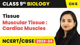 Muscular Tissue  Cardiac Muscles  Tissue  Class 9 Biology Chapter 6  202324 [upl. by Siobhan153]