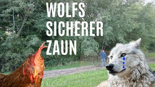 Fuchs und Wolfssicheren Wildzaun für Hühner bauen  DIY [upl. by Melina]