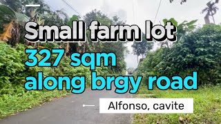 V63124 • 327 sqm small farm lot along brgy road ideal for farmhouse resthouse and retirement home [upl. by Tnelc]