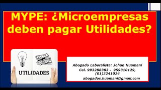 MYPE Microempresas deben pagar Utilidades [upl. by Akirdnas]