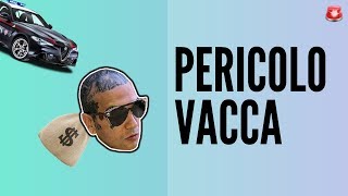 AIUTO PERICOLO VACCA  INTERVISTA HIP HOP TV CON VACCA E WAD YTP RAP [upl. by Htepsle]