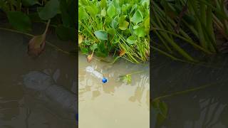 Attractive Plastic Bottle Hook Fishing Challenge Video part4fishingshorts [upl. by Eniretak]