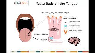 Taste Buds in the Mouth Gymnema Tea [upl. by Ilana]