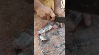 சீலா மீன்  Barracuda Fish  Fish Cutting  reels shorts [upl. by Tahmosh]