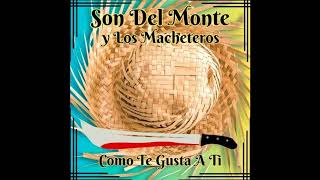 Son Del Monte Y Los Macheteros  Ella No Baila Sola [upl. by Laureen]