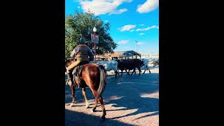 stockyards show forthworth texas ❤️ [upl. by Allis]