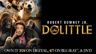 Dolittle  Trailer  Own it on Digital Bluray amp DVD [upl. by Braden]