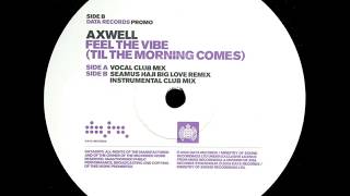 Axwell  Feel The Vibe Seamus Haji Big Love Remix [upl. by Stephan]