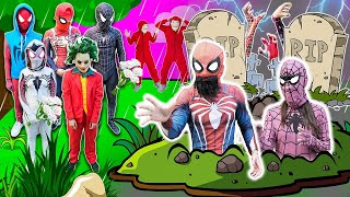 Spidermans Sad Story Spiderman Rescue KID SPIDER MAN From JOKER Action Real Life Movie  p27 [upl. by Violetta]