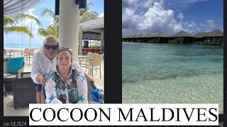 МАЛЬДИВЫ COCOON MALDIVES Опасный снорклинг Обзор пляжей и Чудный вечер на Острове [upl. by Ethelstan11]