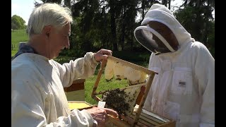 Le conservatoire de labeille noire de LOrne multiplication recherche et sélection de colonies [upl. by Nihsfa]