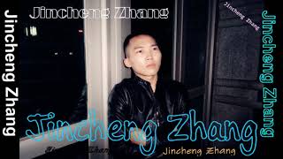 Jincheng Zhang  Inspect Instrumental Version Background Official Audio [upl. by Yroggerg]