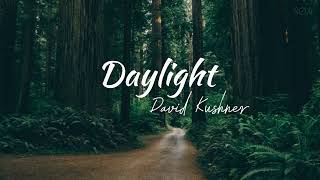 Vietsub  Lyrics Daylight  David Kushner [upl. by Rengia]