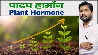 Plant Hormone  प्लांट हार्मोन  पादप हार्मोन क्या हैं  Types of Plant Hormones in Hindi [upl. by Eislehc282]