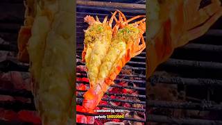 Roasted delicious lobster shorts shortvideo trending foryou lobster roast food seafood [upl. by Omrelliug]