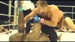 the best in mma fedor Emelianenko The Last Emperor [upl. by Assin]