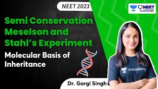 Semi Conservation  Meselson and Stahl’s Experiment  NEET 2023  Dr Gargi Singh [upl. by Nylsirhc]