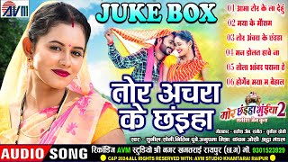 Mor Chhaiya Bhuiya 2  Cg Film Song  Tor Achara Ke Chhaiya  AudioJukebox  Man Diksha Elsa Deepak [upl. by Bjorn]