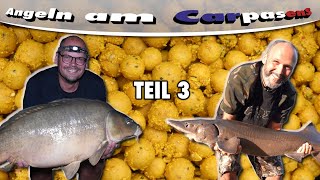 🔥🎣 Carpasens  das große Finale mit Störfaktor  Teil 3 [upl. by Ayortal]