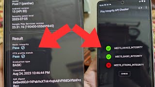 SafetyNet Fix How to Pass CTS Profile Match Android 13  Play Integrity  Magisk V261 [upl. by Joktan196]