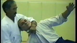 Birankai Aikido amp Iaido 1994 Summer Camp  Part 4 [upl. by Perceval811]