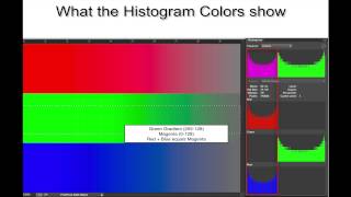 Everything you thought you wanted to know about Histograms [upl. by Grinnell]