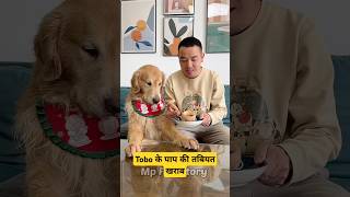 🐕Tobo के पापा की तबीयत खराब  mini wood toy  woodworking art skill  hand crafts shorts pets [upl. by Oberg]