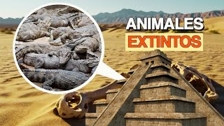 ANIMALES EXTINTOS que Solo Vieron los Antiguos Egipcios 🐙🦠 [upl. by Stahl52]