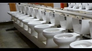 Toilets Flushing Montage [upl. by Nuyh]