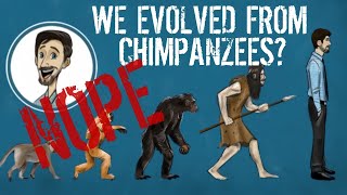 Humans Did NOT Evolve from Chimpanzees [upl. by Nneb]