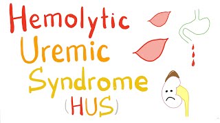 Hemolytic Uremic Syndrome HUS [upl. by Llenrrad]