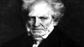 Schopenhauer  le monde selon AS [upl. by Rome]