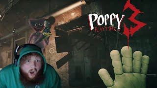 Poppy Playtime Chapter 3 4 hours DONT JUDGE ME [upl. by Convery]