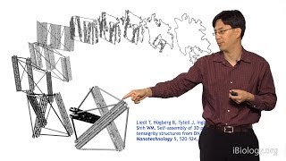 William Shih Harvard Part 1 Nanofabrication via DNA Origami [upl. by Stew385]