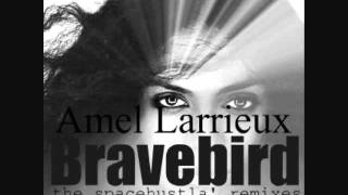 Amel Larrieux  Bravebird hustlas vocal mix [upl. by Theona]