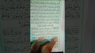 Surah Al dokhan like beautiful beautifullquran islamicshort quran duet [upl. by Ottie]