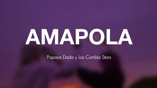 Amapola  Papaya Dada y Los Cumbia Stars Letra [upl. by Cart54]