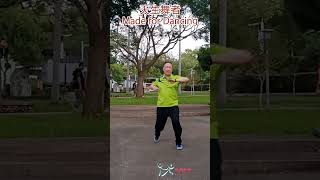 【元宏排舞教室】短片186天生舞者 排舞  Made for Dancing line dance [upl. by Valorie]