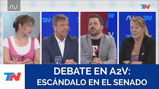 DEBATE EN A2V ESCÁNDALO EN EL SENADO [upl. by Rip]