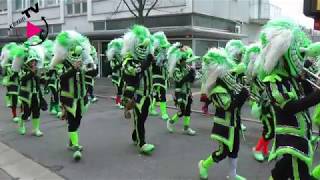 Rosenmontagsumzug 2019 in Böblingen [upl. by Valonia]