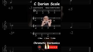 Scales e Modes  A C Dorian Scale ascending and descending  Jazz Chromatic Harmonica Tabs Key of C [upl. by Chicoine]