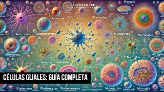 Células Gliales Guía Completa en 5 minutos  Los Superhéroes Ocultos del Cerebro [upl. by Banky865]